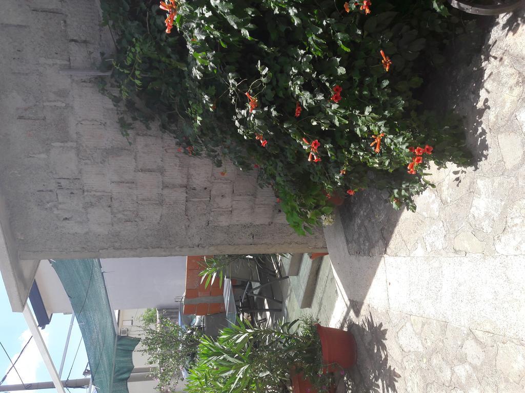 Apartments Mara Bela كارلوباغ المظهر الخارجي الصورة